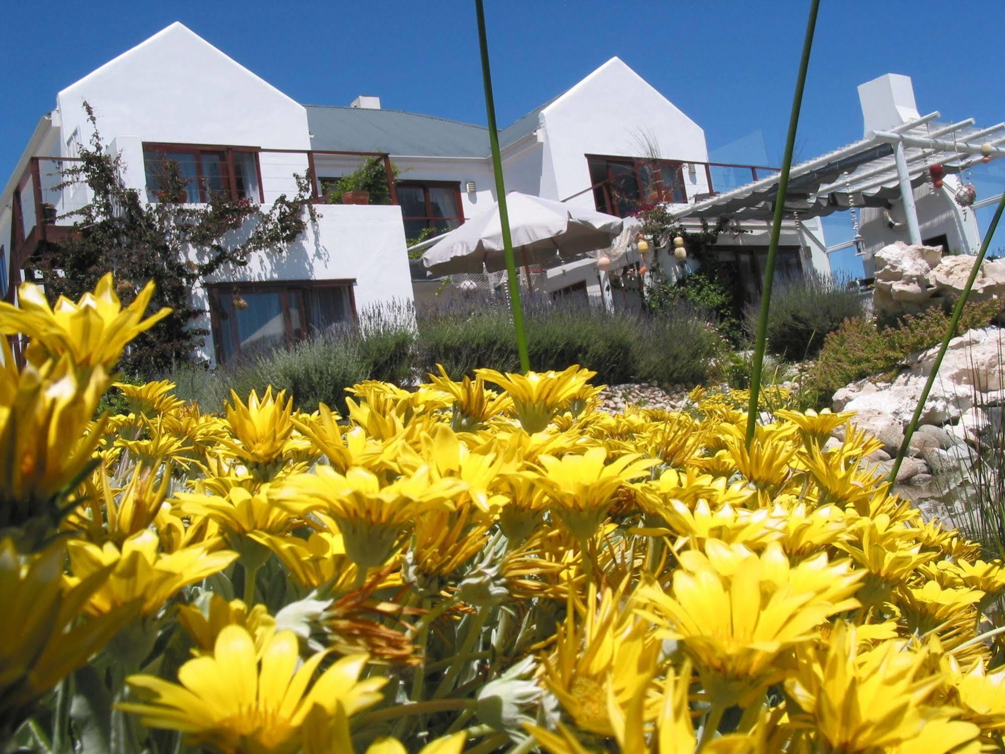 Farr Out Guest House Paternoster Exteriör bild